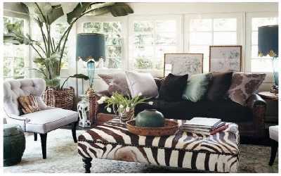 Zebra Chic Ideas Zebra Chic Ideas